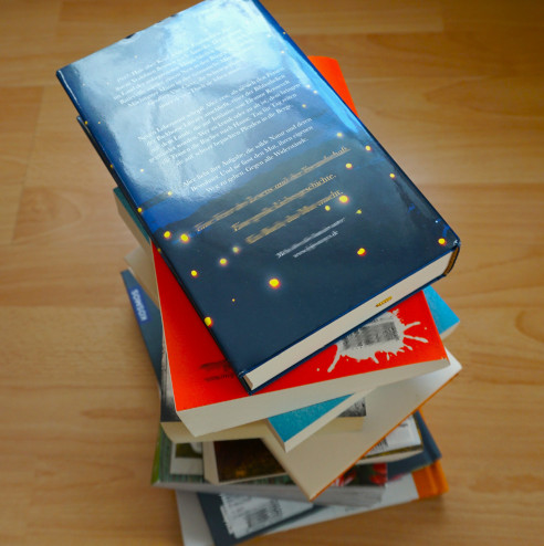 Großer Bücherstapel